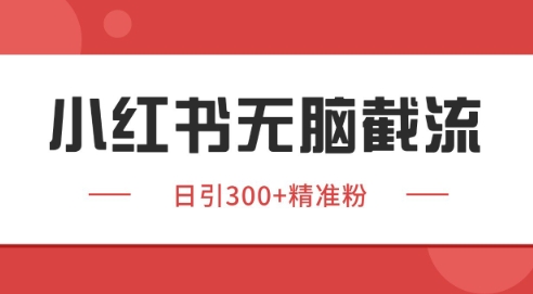 小红书截流同行客源，独家野路子获客玩法 日引200+暴力获客【揭秘】|小鸡网赚博客