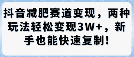 抖音减肥赛道变现，两种玩法轻松变现3W+，新手也能快速复制|小鸡网赚博客