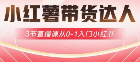 小红薯达人带货启航计划，3节直播课从0-1入门小红书|小鸡网赚博客