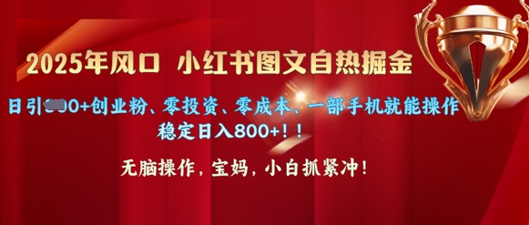 25年风口小红书图文掘金，日引300+创业粉、零投资、零成本、一部手机就能操作|小鸡网赚博客