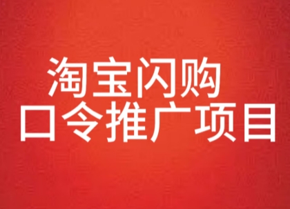 淘宝闪购口令推广项目，收益可观，一部手机，一个抖音号即可操作|小鸡网赚博客