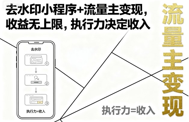 去水印小程序+流量主变现，收益无上限，执行力决定收入|小鸡网赚博客