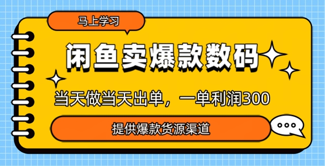 闲鱼卖爆款货源，当天做当天出单，一单利润3张|小鸡网赚博客