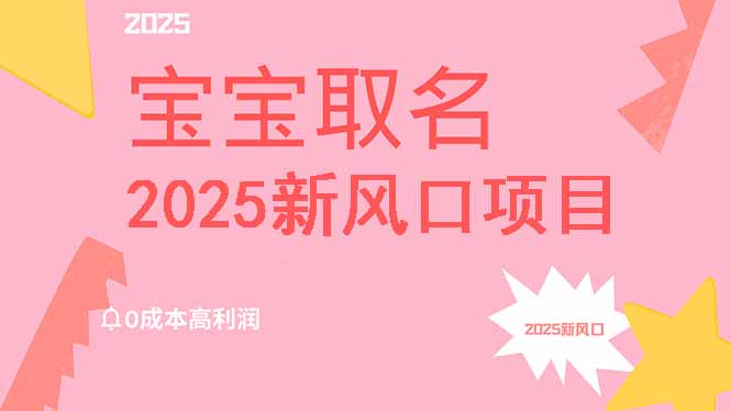 （14593期）2025新风口项目宝宝取名，0成本高利润，附保姆级教程，月入过万不是梦|小鸡网赚博客