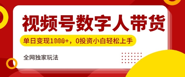 最新视频号数学人带货实操玩法，新手单日轻松多张，全程干货|小鸡网赚博客