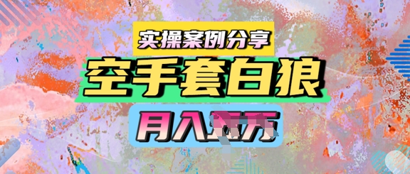 空手套白狼，月入过1W，实操案例分享|小鸡网赚博客