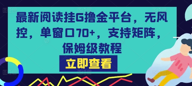 最新阅读挂G撸金平台，无风控，单窗口70+，支持矩阵，保姆级教程【揭秘】|小鸡网赚博客