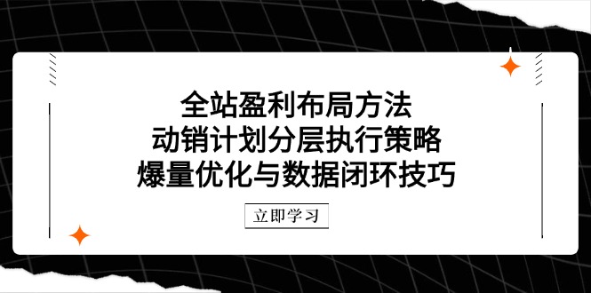 （14698期）全站盈利布局方法：动销计划分层执行策略，爆量优化与数据闭环技巧|小鸡网赚博客