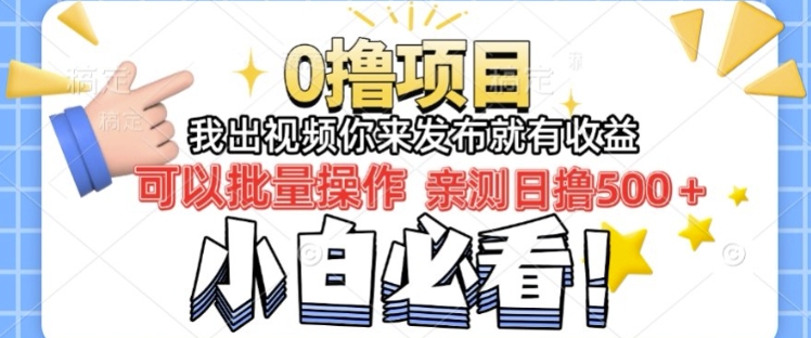 我出视频你直接领取发布就有收益日入几张的0撸项目，速度搞|小鸡网赚博客