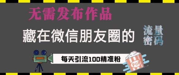 藏在微信朋友圈的流量密码，无需发布作品，单日引流100+精准创业粉【揭秘】|小鸡网赚博客