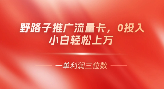 0门槛推广流量卡，一单收益上百，0投入，小白月入过W|小鸡网赚博客