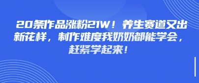 20条作品涨粉21W！养生赛道又出新花样，制作难度我奶奶都能学会，赶紧学起来|小鸡网赚博客