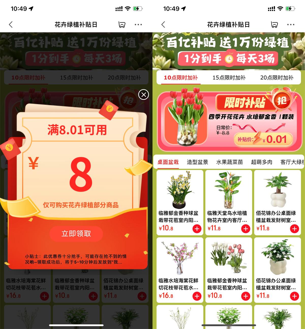 京东每天整点抢0.01绿植包邮|小鸡网赚博客
