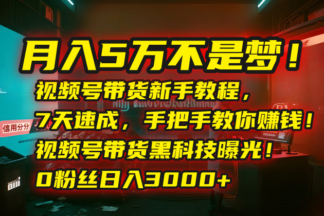 （15595期）月入5万不是梦！视频号带货新手教程，7天速成，手把手教你赚钱！视频号...|小鸡网赚博客