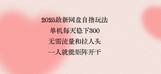 2025最新网盘自撸玩法，单机每天稳下3张，无需流量和拉人头，一个人就可轻松矩阵，全网独一份【揭秘】|小鸡网赚博客