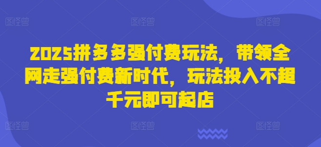 2025拼多多强付费玩法，带领全网走强付费新时代，玩法投入不超千元即可起店|小鸡网赚博客