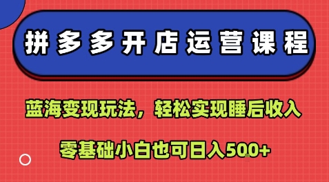 拼多多开店运营课程：蓝海变现玩法，轻松实现睡后收入，零基础小白也可日入5张|小鸡网赚博客