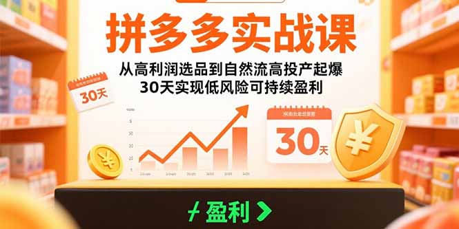 （15586期）拼多多实战课：从高利润选品到自然流高投产起爆 30天实现低风险可持续盈利|小鸡网赚博客