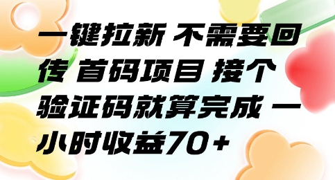 一键拉新 不需要回传 首码项目 接个验证码就算完成 一小时收益70+【揭秘】|小鸡网赚博客