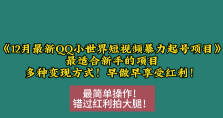 12月最新QQ小世界短视频暴力起号项目，最适合新手的项目，多种变现方式|小鸡网赚博客