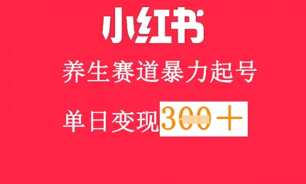 小红书养生赛道，暴力起号，轻松日入3张+|小鸡网赚博客