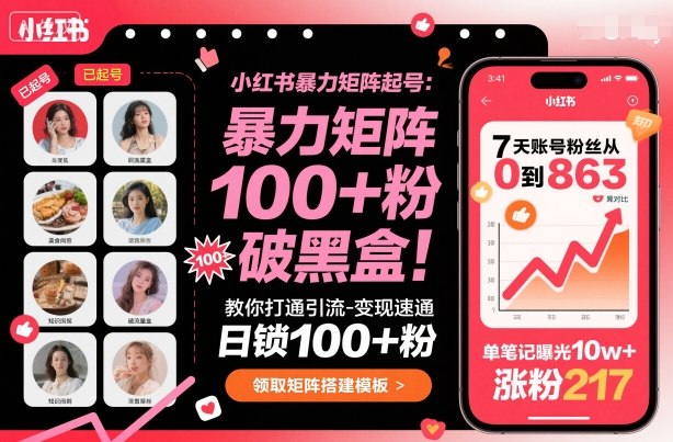 小红书暴力矩阵起号，教你打通引流-变现速通，日锁100+粉，破流量黑盒|小鸡网赚博客
