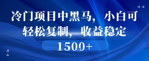 冷门项目中黑马，小白可轻松复制，收益稳定1.5k|小鸡网赚博客