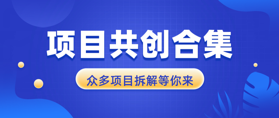 （13778期）项目共创合集，从0-1全过程拆解，让你迅速找到适合自已的项目|小鸡网赚博客