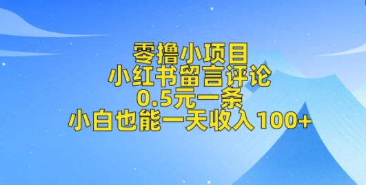 零撸小项目，小红书留言评论，0.5元一条，小白也能一天收入100+|小鸡网赚博客