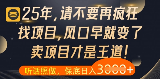 什么？25年你还在疯狂找项目做，醒醒吧，看完这些你全都懂了【揭秘】|小鸡网赚博客