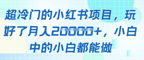 超冷门的小红书项目，玩好了月入过1w，小白中的小白都能做|小鸡网赚博客