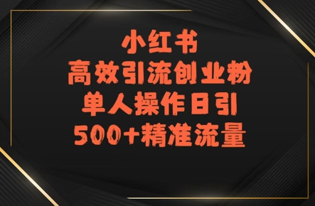 小红书高效引流创业粉，单人操作日引500+精准流量|小鸡网赚博客