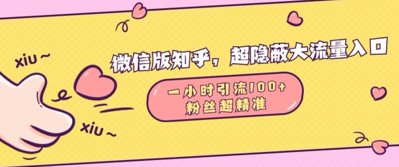 微信版知乎，超隐蔽流量入口1小时引流100人，粉丝质量超高【揭秘】|小鸡网赚博客