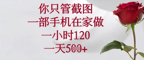 你只管截图，一部手机在家做，苹果安卓都可以，一小时120，一天5张+【揭秘】|小鸡网赚博客