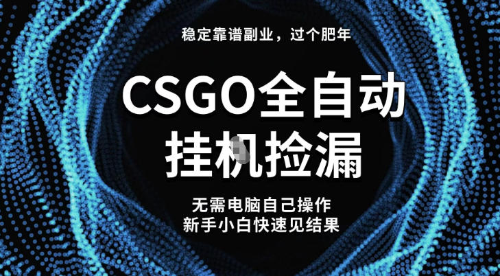 【稳定副业】全球最热门游戏CSGO全自动捡漏，最新玩法，新手小白日入5张+【揭秘】|小鸡网赚博客