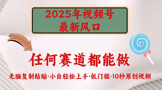 （14453期）2025年视频号新风口，低门槛只需要无脑执行|小鸡网赚博客