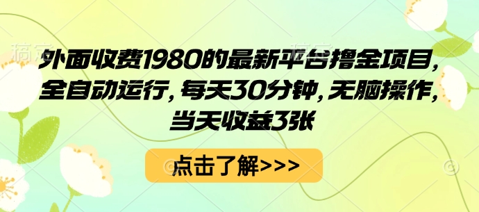 外面收费1980的最新平台撸金项目，全自动运行，每天30分钟，无脑操作，当天收益3张【揭秘】|小鸡网赚博客