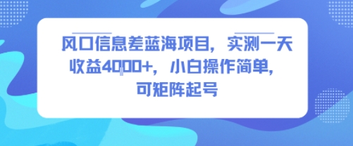风口信息差蓝海项目，实测一天收益4k+，小白操作简单，可矩阵起号|小鸡网赚博客