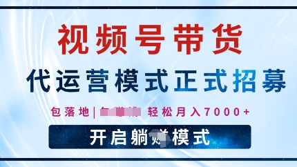 视频号代运营，全程托管计划招募，躺Z模式，单月轻松变现7k|小鸡网赚博客