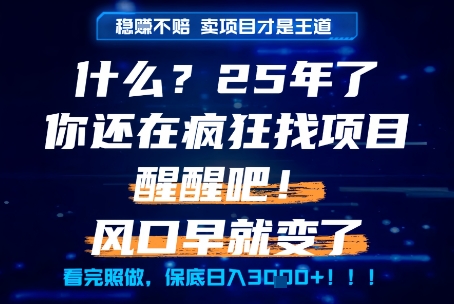 什么？25年你还在疯狂找项目做，醒醒吧，看完这些你全都懂了！【揭秘】|小鸡网赚博客