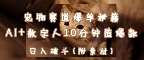 宠物赛道爆单秘籍：AI+数字人10分钟造爆款，日入1k|小鸡网赚博客