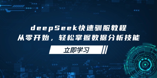 （14536期）deepSeek快速驯服教程，从零开始，轻松掌握数据分析技能|小鸡网赚博客