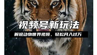 利用动物世界解说视频，赚分成计划收益，轻松月入过W，操作简单【揭秘】|小鸡网赚博客