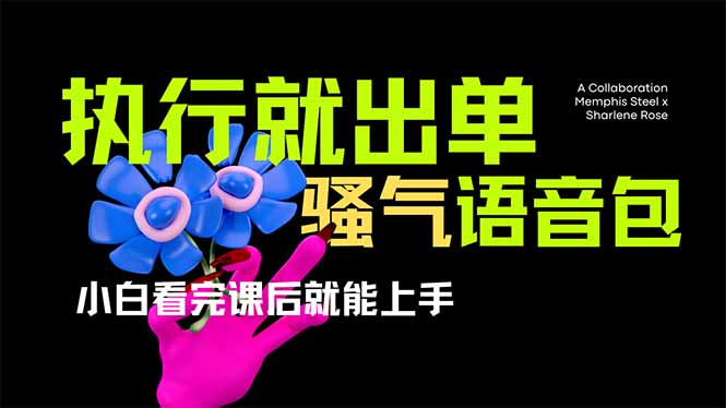 （14170期）爆火全网的开车导航骚气语音包,只要执行就出单，小白看完课程就能实操...|小鸡网赚博客