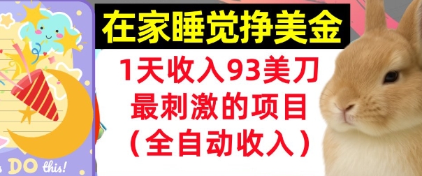 在家挣美金，1天收入93刀，最刺激的项目，0门槛，自动收入(首次公开)|小鸡网赚博客