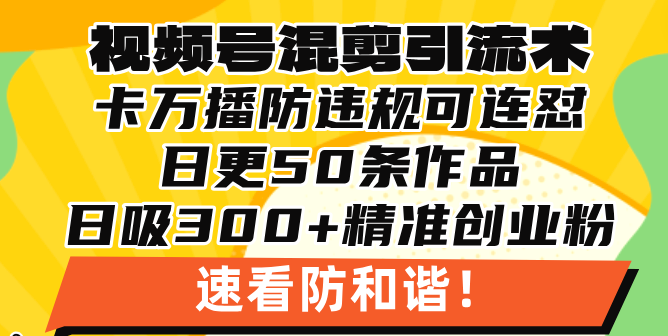 （13400期）视频号混剪引流技术，500万播放引流17000创业粉，操作简单当天学会|小鸡网赚博客