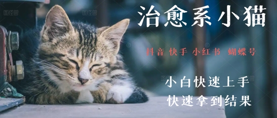 拆解，疯狂火爆！抖音，小红书，视频号小猫治愈的视频，轻松制作+快速拿到结果|小鸡网赚博客