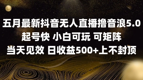 2025五月最新无人直播撸音浪单日产出5张+实操教程【揭秘】|小鸡网赚博客
