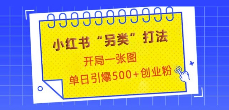 小红书“另类”打法，开局一张图，单日引爆500+精准创业粉【揭秘】|小鸡网赚博客