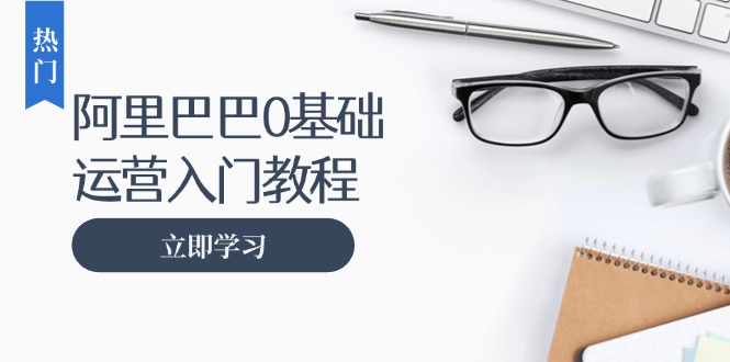（13291期）阿里巴巴运营零基础入门教程：涵盖开店、运营、推广，快速成为电商高手|小鸡网赚博客